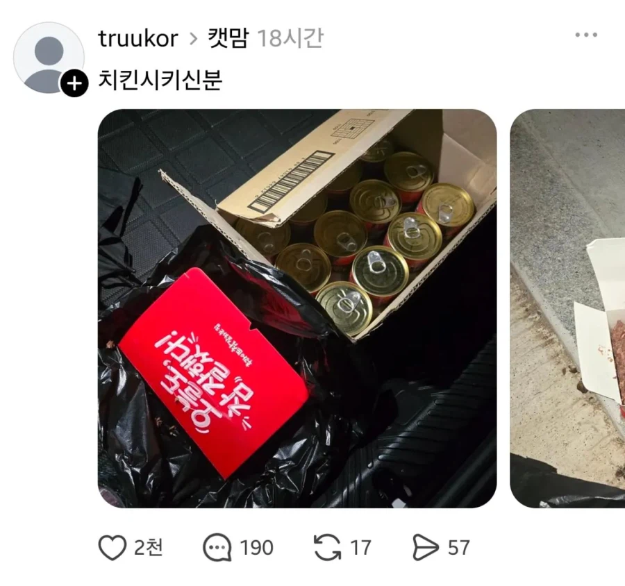 임자 제대로 만난 캣맘 ㅋㅋㅋㅋ