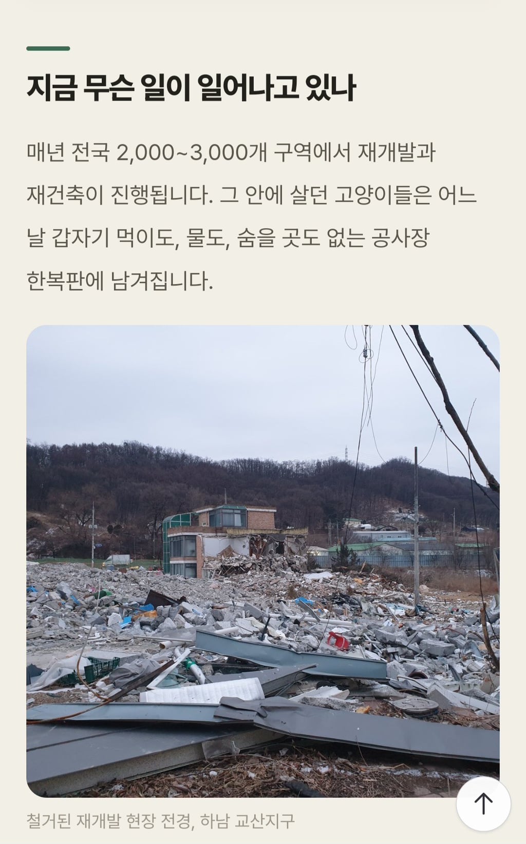 재개발·재건축 지역 길고양이를 위한 청원, 아직 23%임.. 많은 참여 부탁해 😿