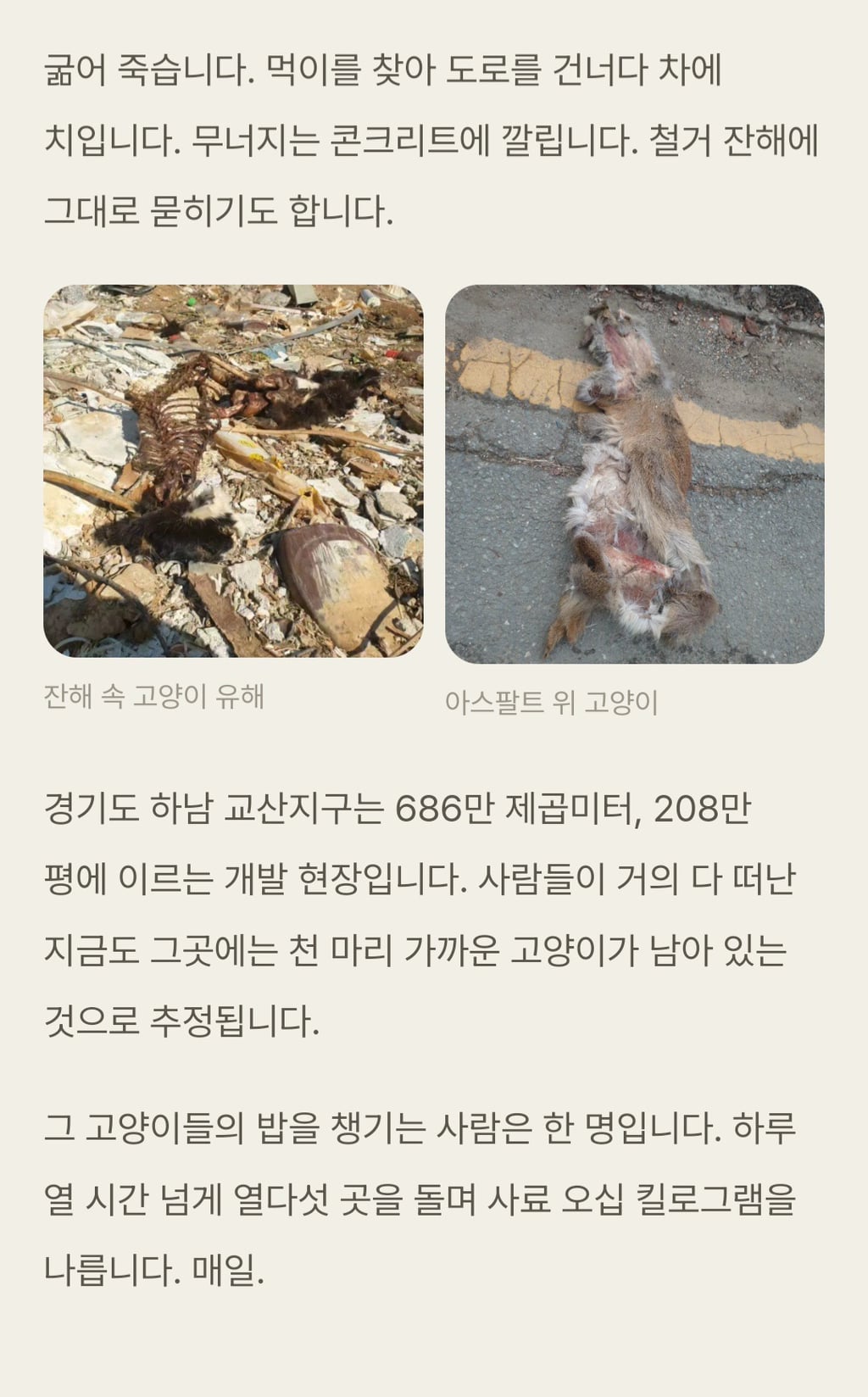 재개발·재건축 지역 길고양이를 위한 청원, 아직 23%임.. 많은 참여 부탁해 😿