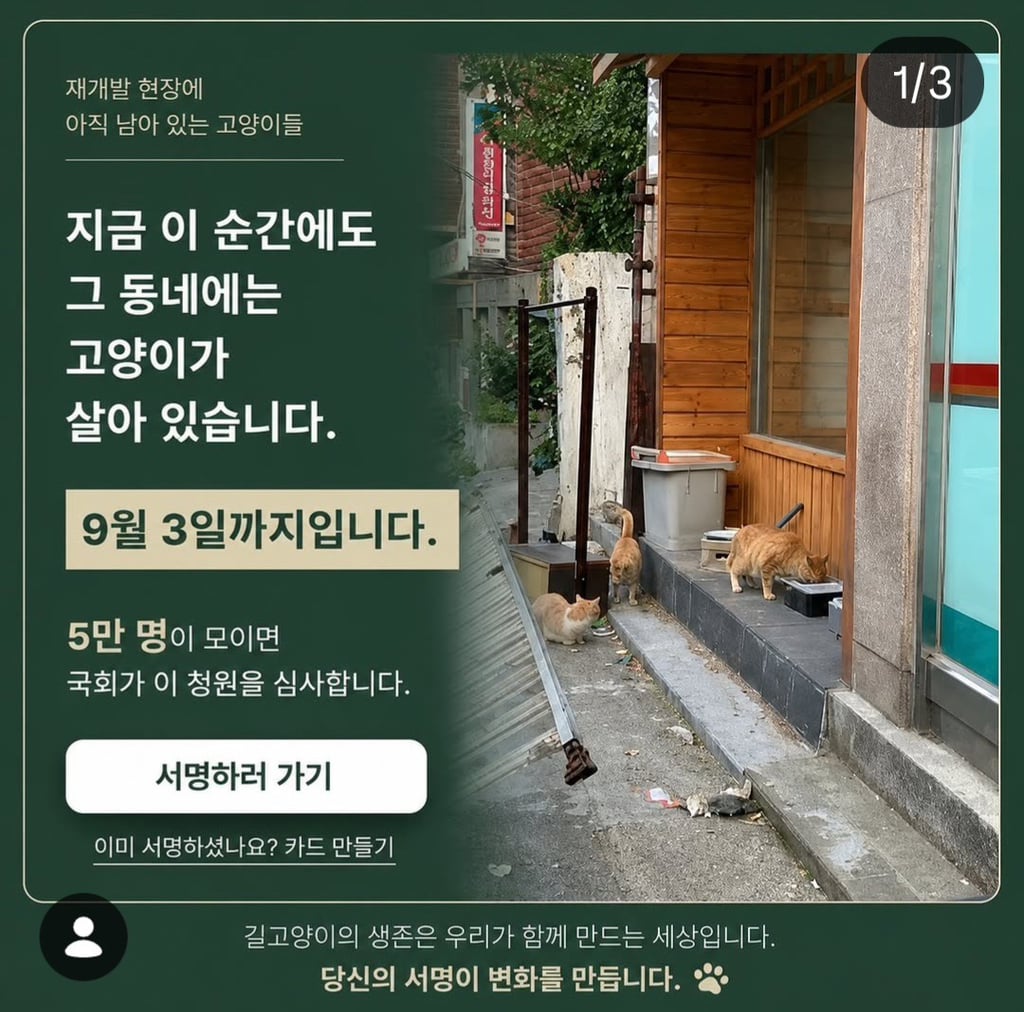 재개발·재건축 지역 길고양이를 위한 청원, 아직 23%임.. 많은 참여 부탁해 😿