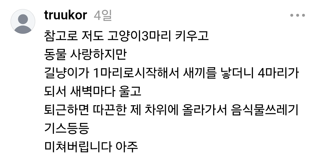 쓰레드에서 요즘 핫한 1년동안 시달린 캣맘 잡은 후기