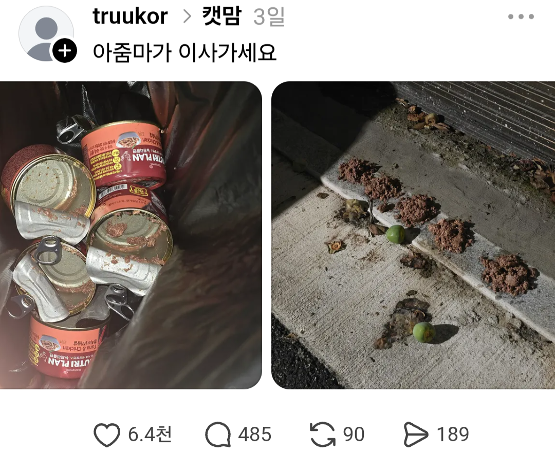 쓰레드에서 요즘 핫한 1년동안 시달린 캣맘 잡은 후기