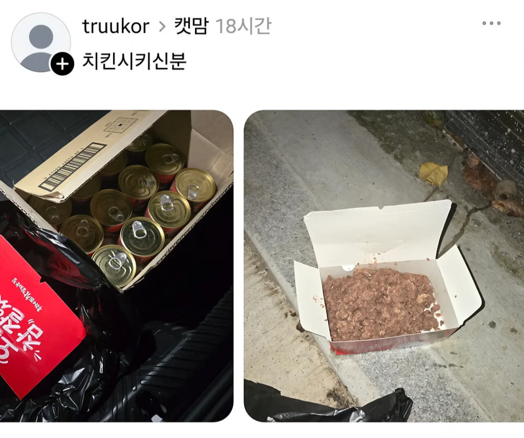 쓰레드에서 요즘 핫한 1년동안 시달린 캣맘 잡은 후기