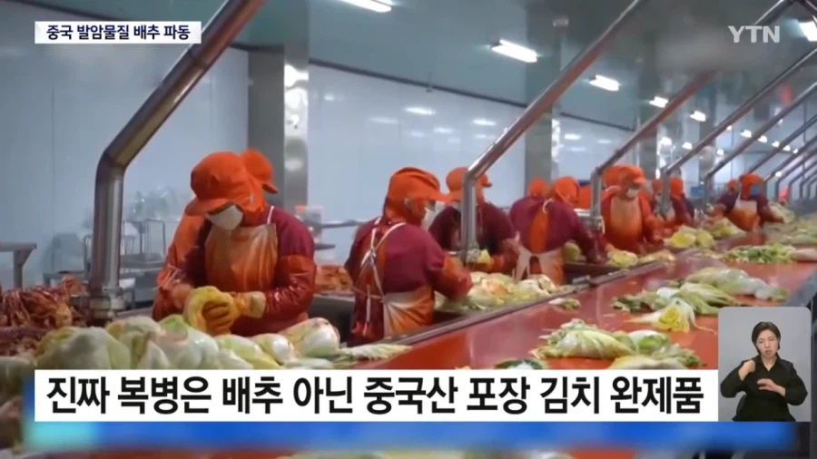 식약처 "최근 중국산 배추 8건 모두 발암물질 불검출"
