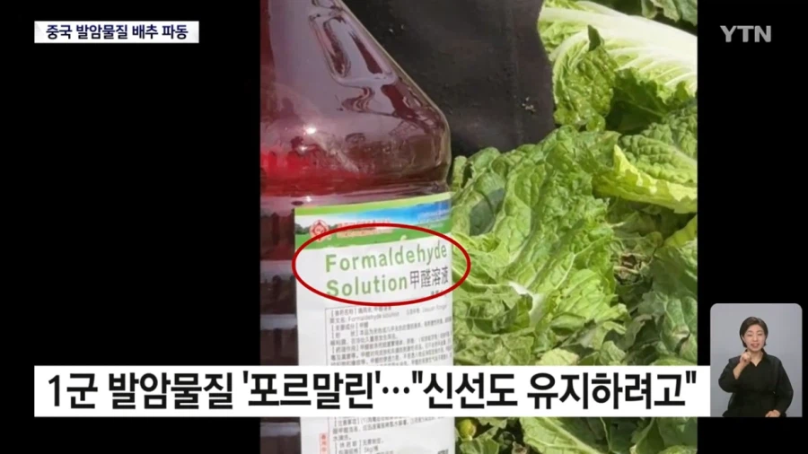 식약처 "최근 중국산 배추 8건 모두 발암물질 불검출"
