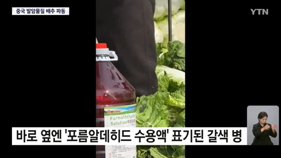 식약처 "최근 중국산 배추 8건 모두 발암물질 불검출"