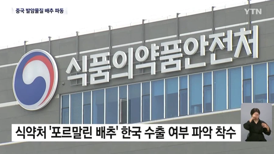 식약처 "최근 중국산 배추 8건 모두 발암물질 불검출"