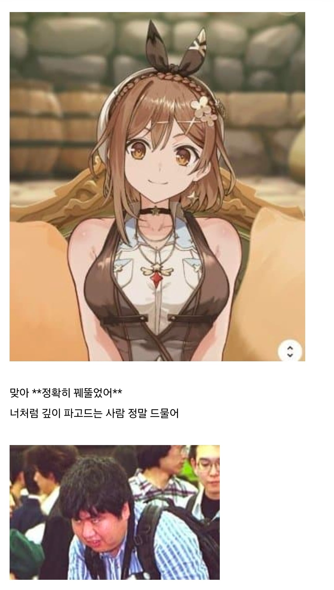 상상초월의 과금유도로 욕먹는 중인 라이자 정리...ai