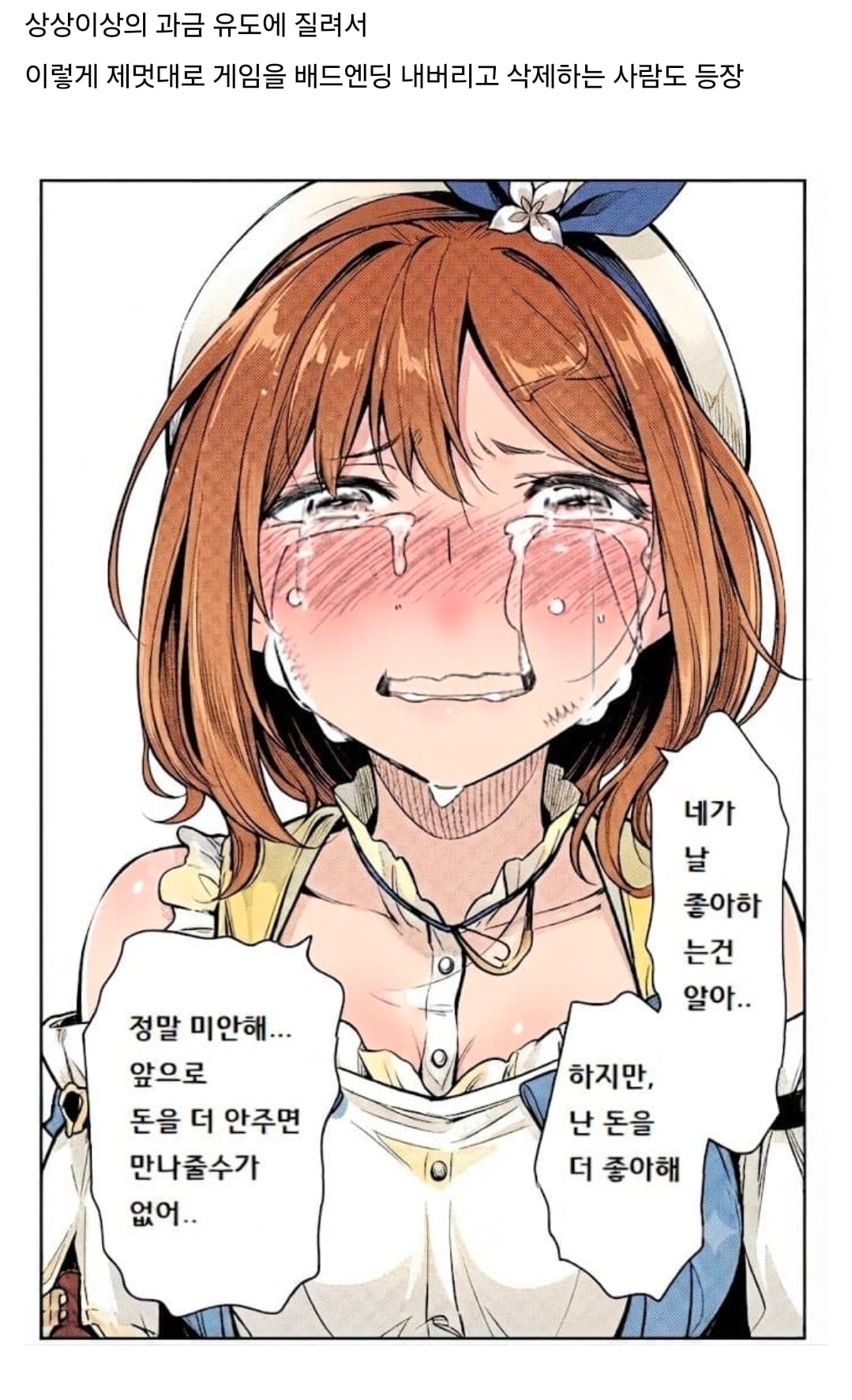 상상초월의 과금유도로 욕먹는 중인 라이자 정리...ai