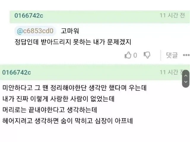 애인이 바람피웠다는 글에 달린 현자 댓글