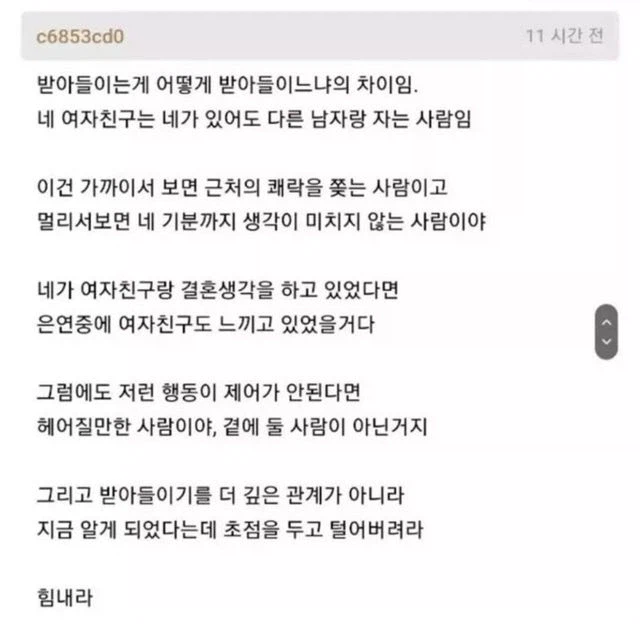 애인이 바람피웠다는 글에 달린 현자 댓글