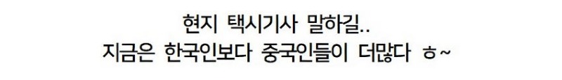 충격) 제주도 시내거리 근황 ㅋㅋㅋ