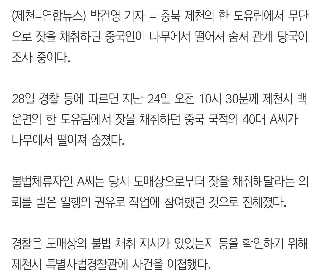 제천서 무단으로 잣따던 중국인 추락사