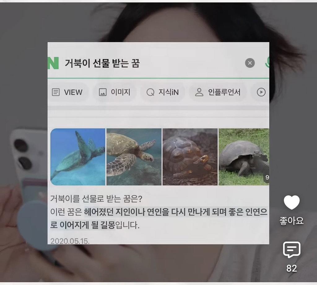 세상 떠난 반려견이 딸로 돌아온거 같다는 유튜버.jpg