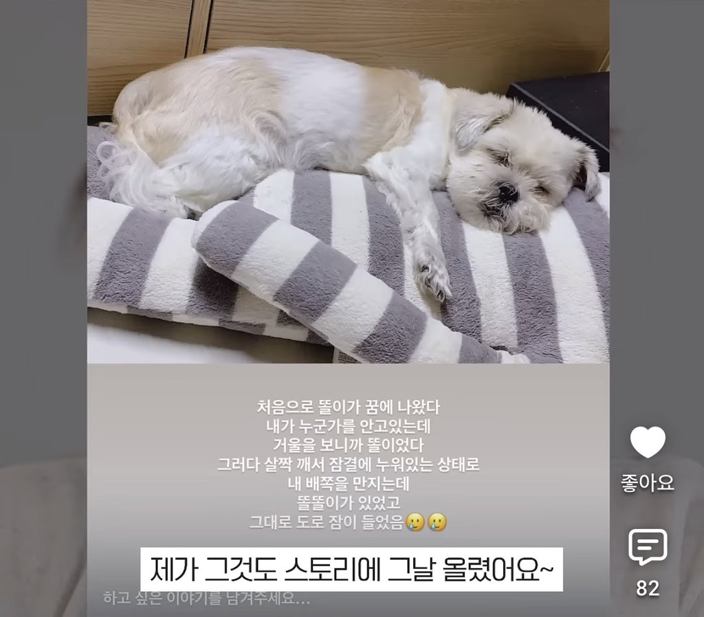 세상 떠난 반려견이 딸로 돌아온거 같다는 유튜버.jpg