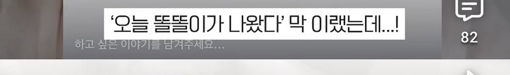 세상 떠난 반려견이 딸로 돌아온거 같다는 유튜버.jpg
