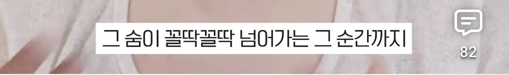 세상 떠난 반려견이 딸로 돌아온거 같다는 유튜버.jpg