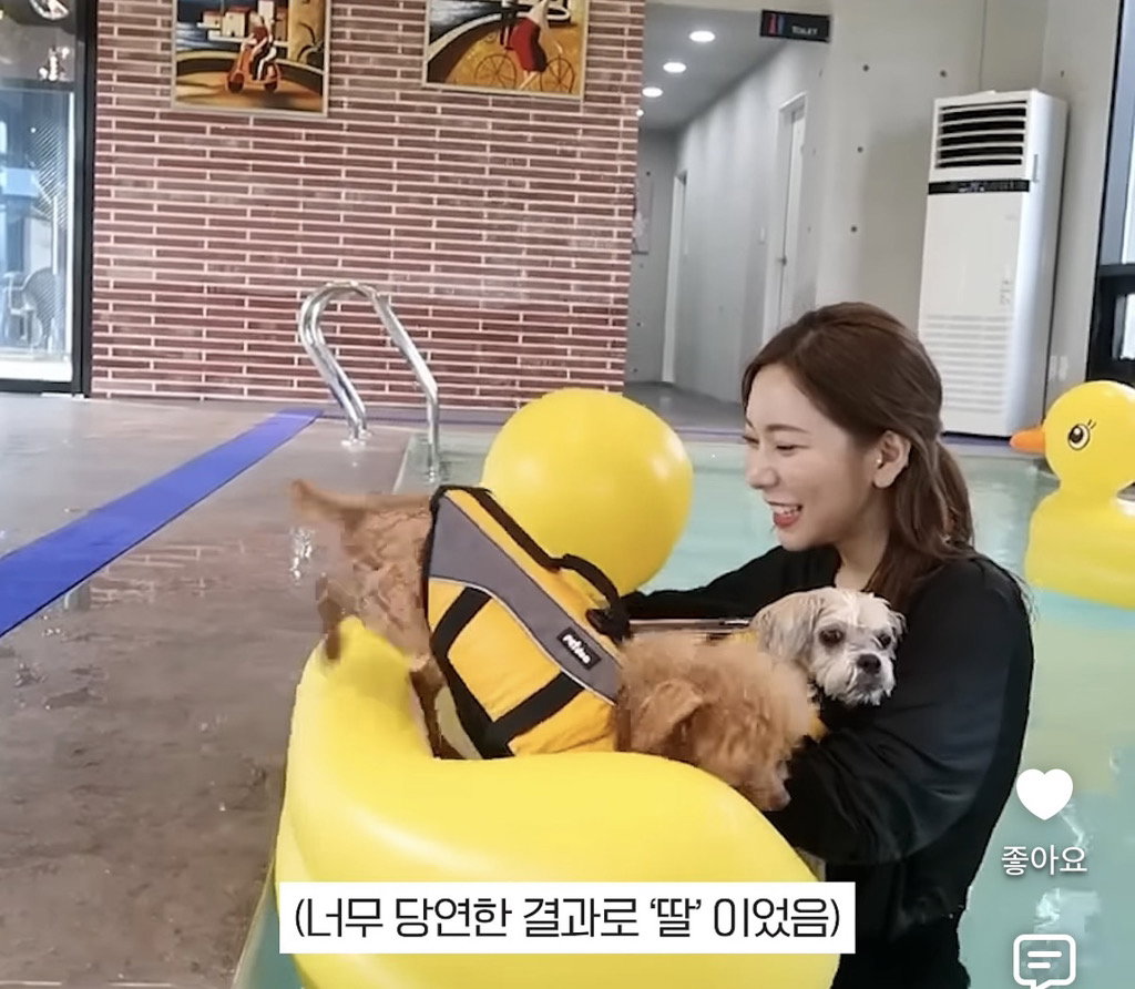 세상 떠난 반려견이 딸로 돌아온거 같다는 유튜버.jpg