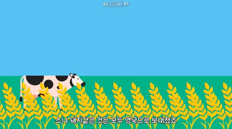 아일랜드 인구가 절반으로 줄어든 사연