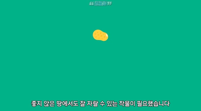 아일랜드 인구가 절반으로 줄어든 사연