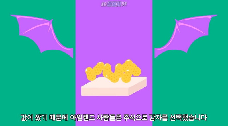 아일랜드 인구가 절반으로 줄어든 사연