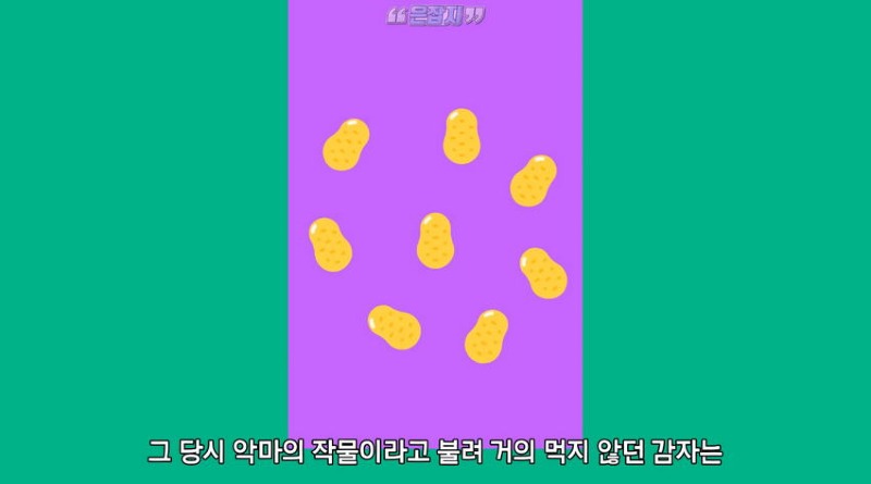 아일랜드 인구가 절반으로 줄어든 사연