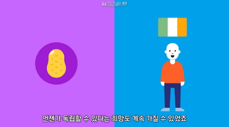 아일랜드 인구가 절반으로 줄어든 사연
