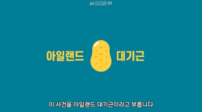 아일랜드 인구가 절반으로 줄어든 사연
