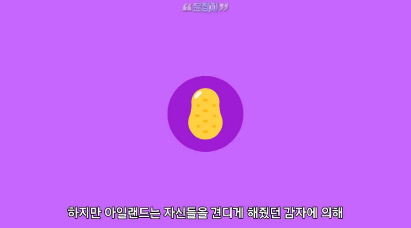 아일랜드 인구가 절반으로 줄어든 사연