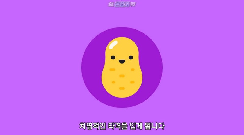 아일랜드 인구가 절반으로 줄어든 사연