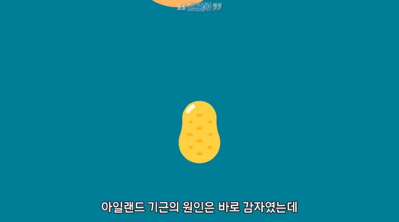 아일랜드 인구가 절반으로 줄어든 사연