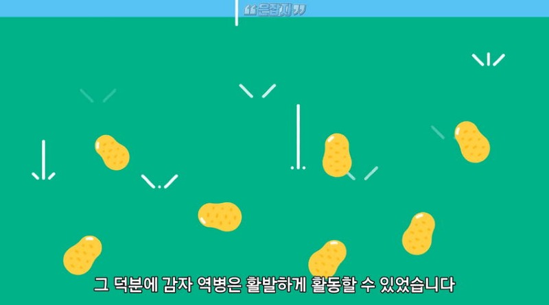 아일랜드 인구가 절반으로 줄어든 사연