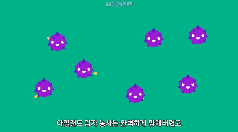 아일랜드 인구가 절반으로 줄어든 사연