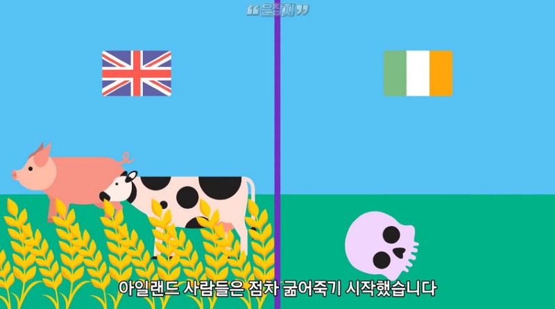 아일랜드 인구가 절반으로 줄어든 사연