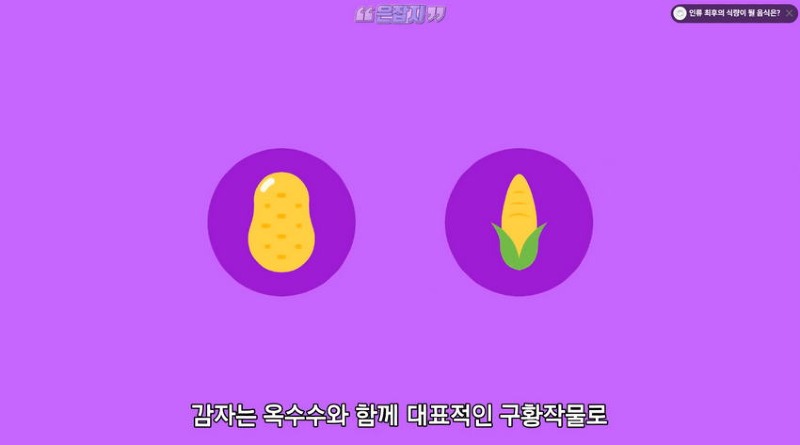 아일랜드 인구가 절반으로 줄어든 사연