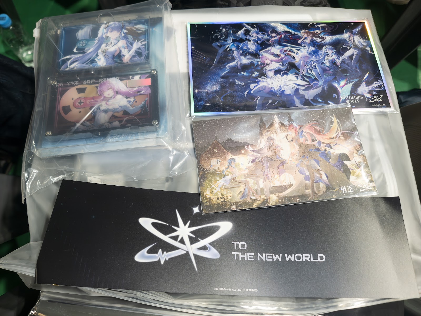 명조) 워더링 웨이브 월드 투어 To the New World 콘서트