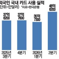 2분기 외국인 국내 카드 사용액 '사상 최대'