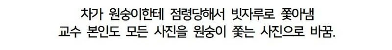 별명이 '여포'가 된 컴공과 교수