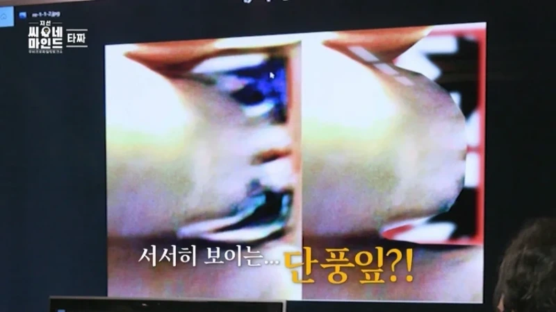 은근 잘 모르는 영화 타짜의 소름돋는 반전