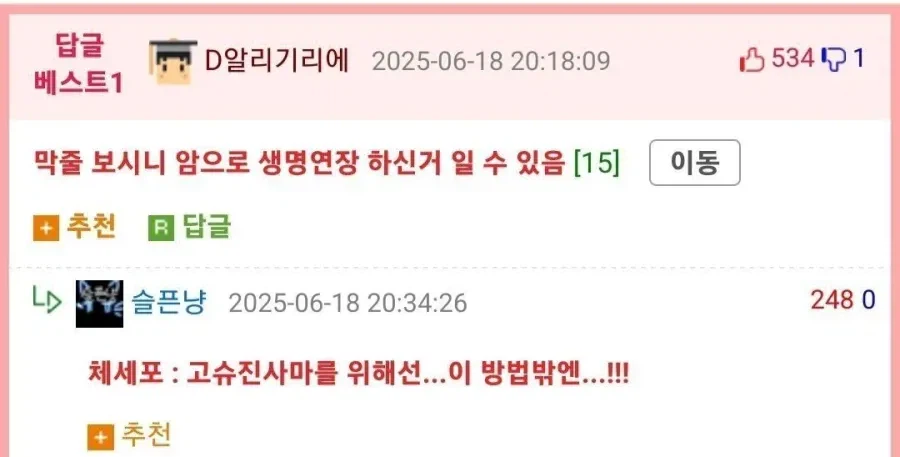 암으로 생명연장을 한 경우