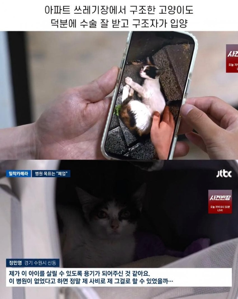 진료비 천 원이라는 동물병원