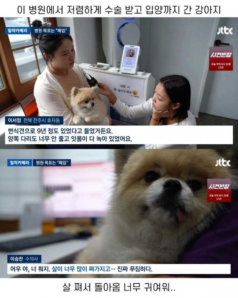 진료비 천 원이라는 동물병원