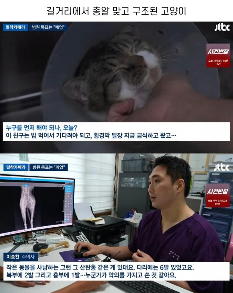 진료비 천 원이라는 동물병원