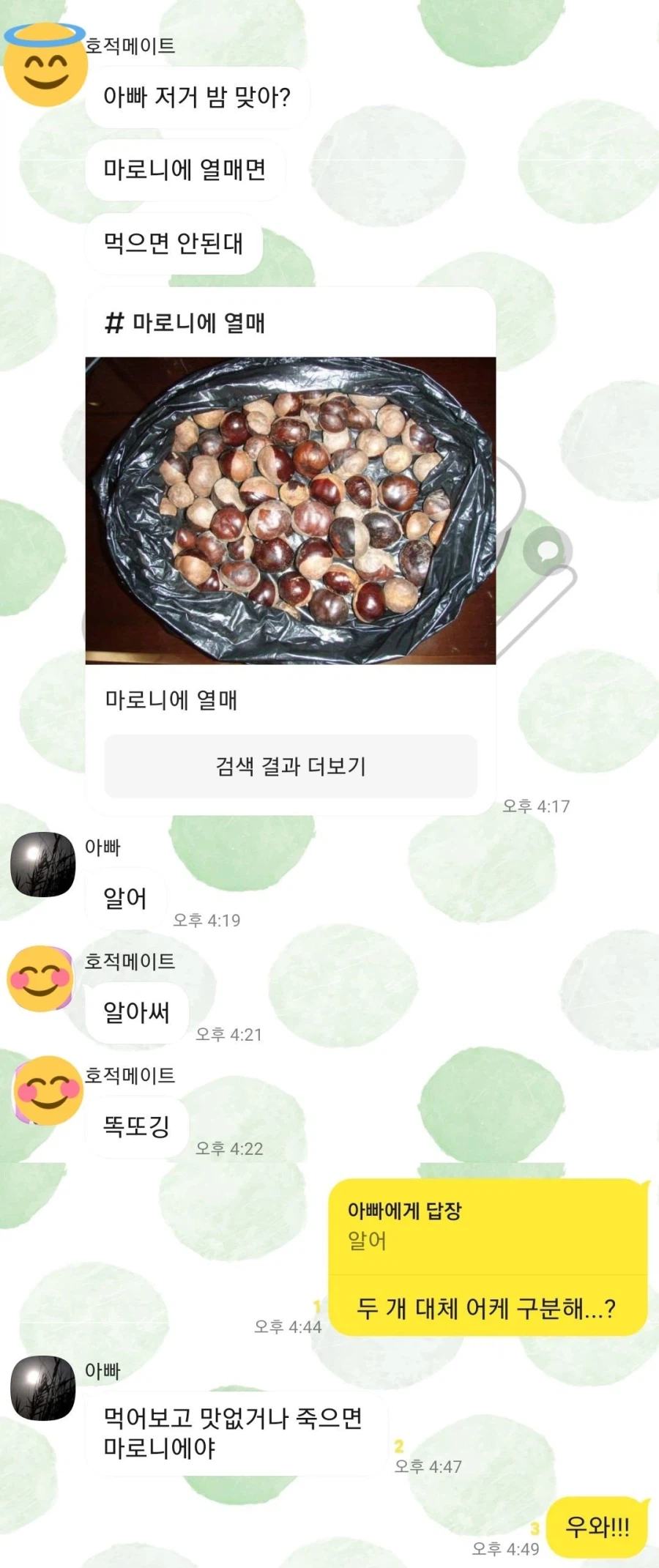 밤이랑 마로니에 구분하는 꿀팁