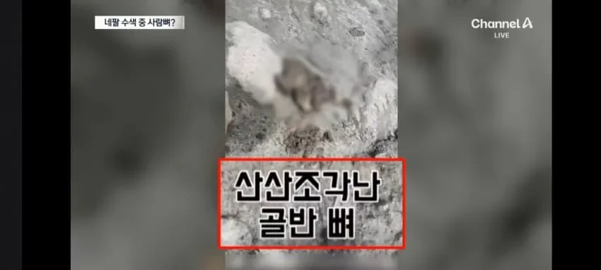 네팔에 실종자 수색에 도움주려고 간 한국 산악인 근황..jpg