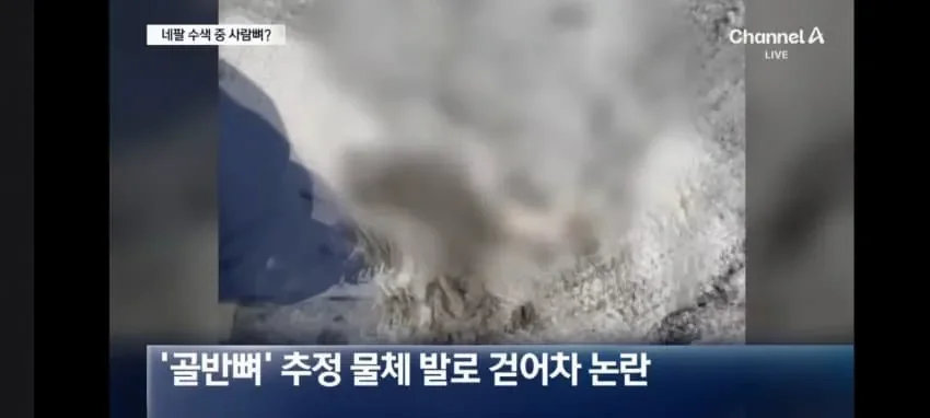 네팔에 실종자 수색에 도움주려고 간 한국 산악인 근황..jpg
