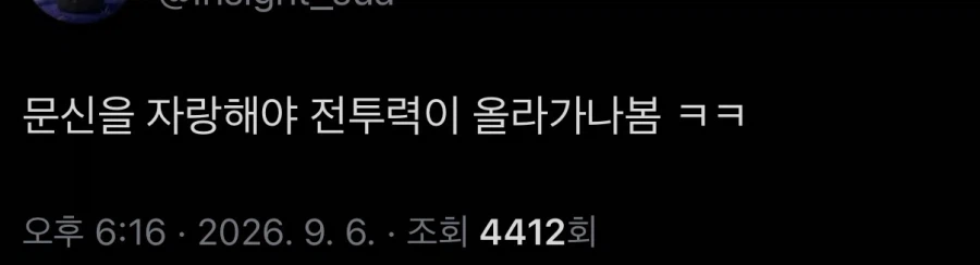불꽃 축제에서 불끈 축제