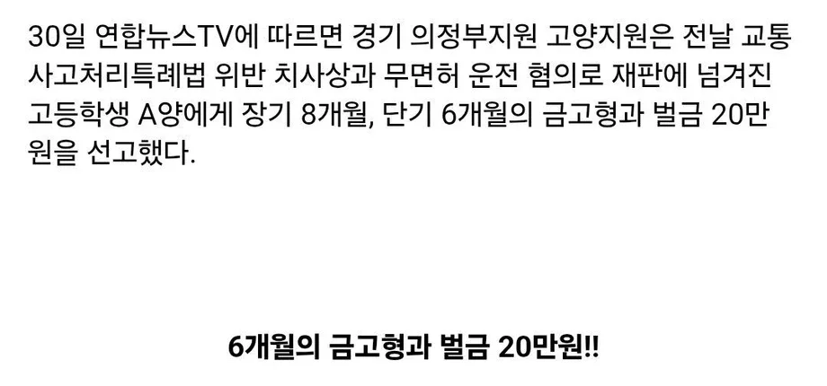 사람 쳐서 죽인 킥라니 여고생 재판 결과