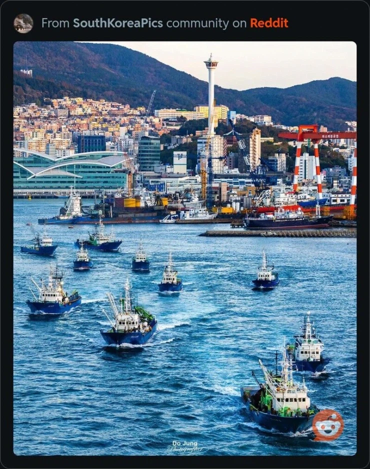 레딧에 올라온 한국의 풍경