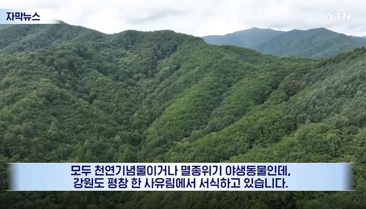 수십억 들여 숲 사놓고 아무것도 안 한 이유.news